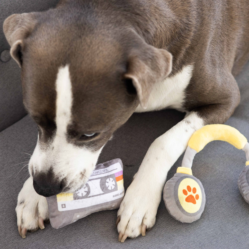 sub-woofer dog toy set