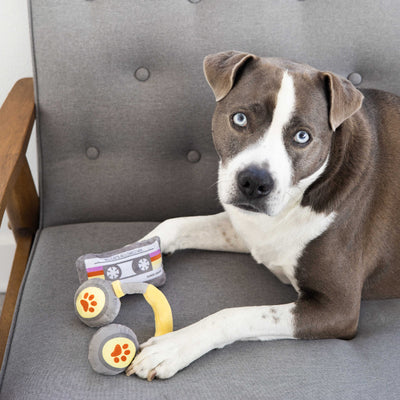 sub-woofer dog toy set