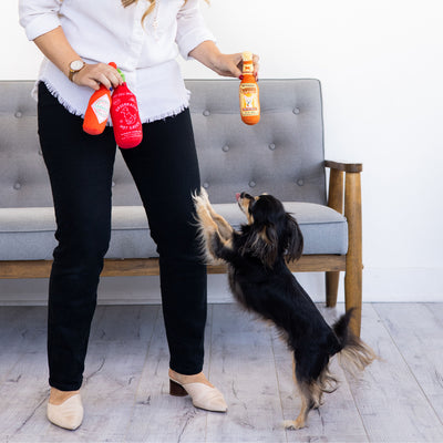 hot pupper sauce dog toy set
