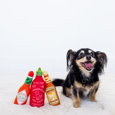 hot pupper sauce dog toy set