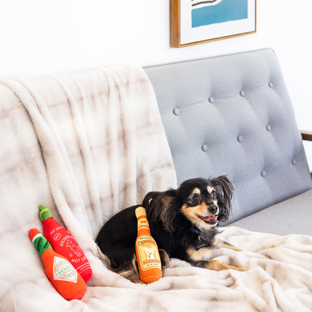 hot pupper sauce dog toy set