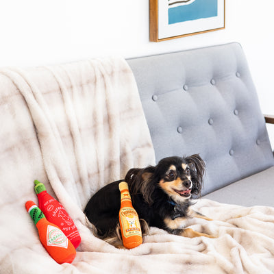 hot pupper sauce dog toy set