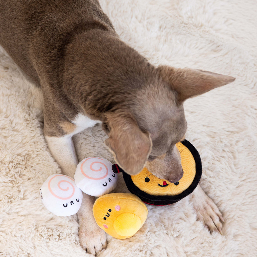 dogkatsu ramen dog toy set