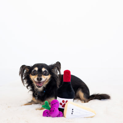 pawrcuterie dog toy set
