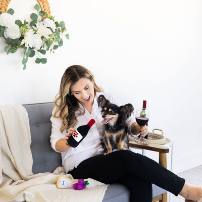pawrcuterie dog toy set