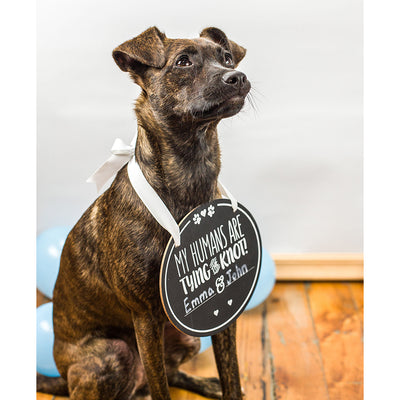 pet wedding announcement chalkboard