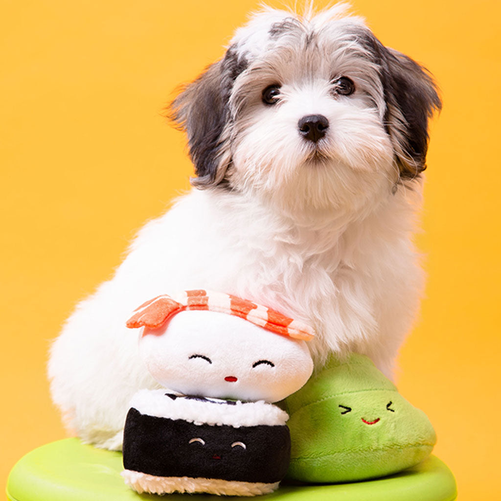 Pearhead's sushi dog toy set
