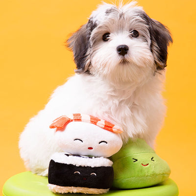 Pearhead's sushi dog toy set