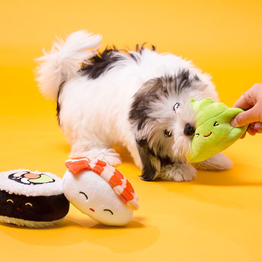 sushi dog toy set – Pearhead