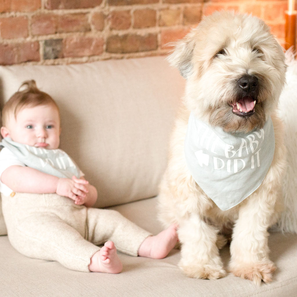 Pearhead's baby and pet bib set