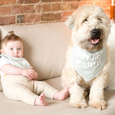 Pearhead's baby and pet bib set