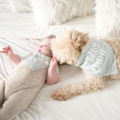 Pearhead's baby and pet bib set