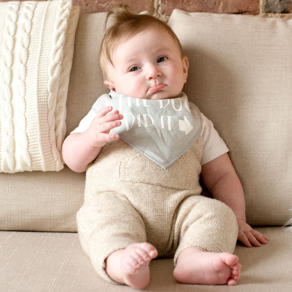 Pearhead's baby and pet bib set