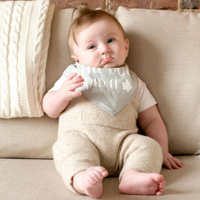 Pearhead's baby and pet bib set