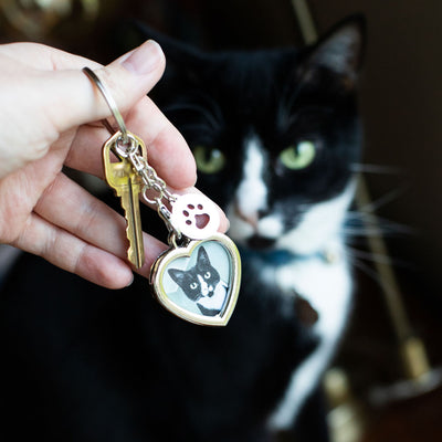 Pearhead's heart keychain with paw charm