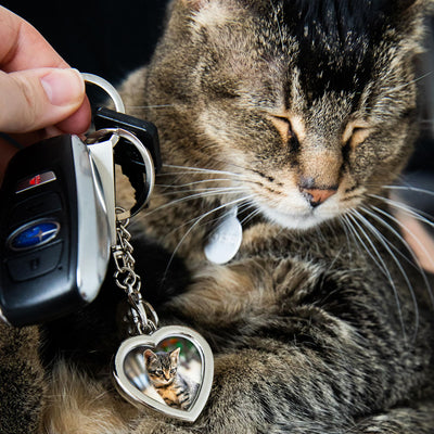 Pearhead's heart keychain with paw charm