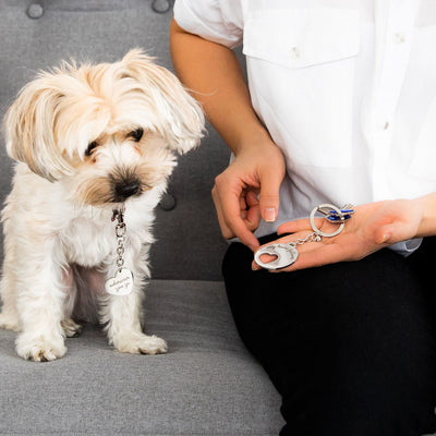 Pearhead's keychain and dog tag set
