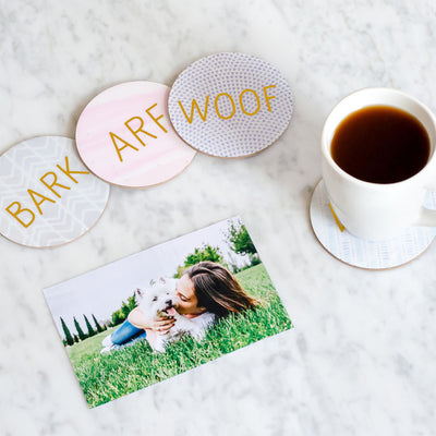 Pearhead's "Woof, Bark, Wag, Arf" coaster set