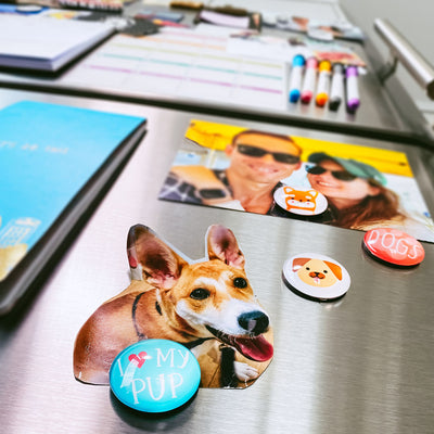 Pearhead's dog glass magnets