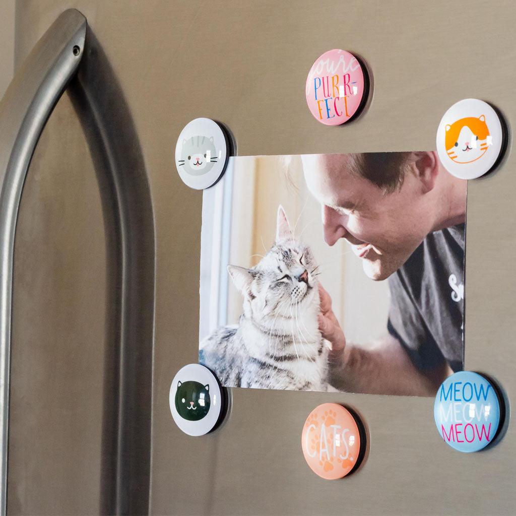 Pearhead's cat glass magnets