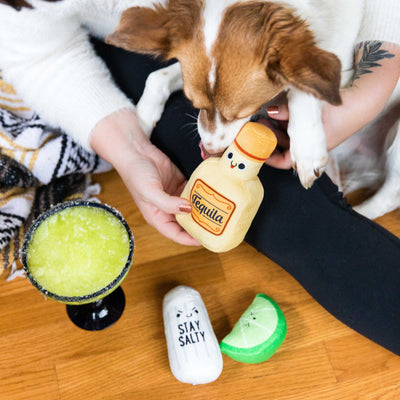 Pearhead's tequila shots dog toys
