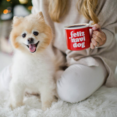 feliz navidog mug