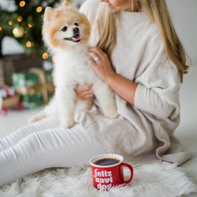 feliz navidog mug