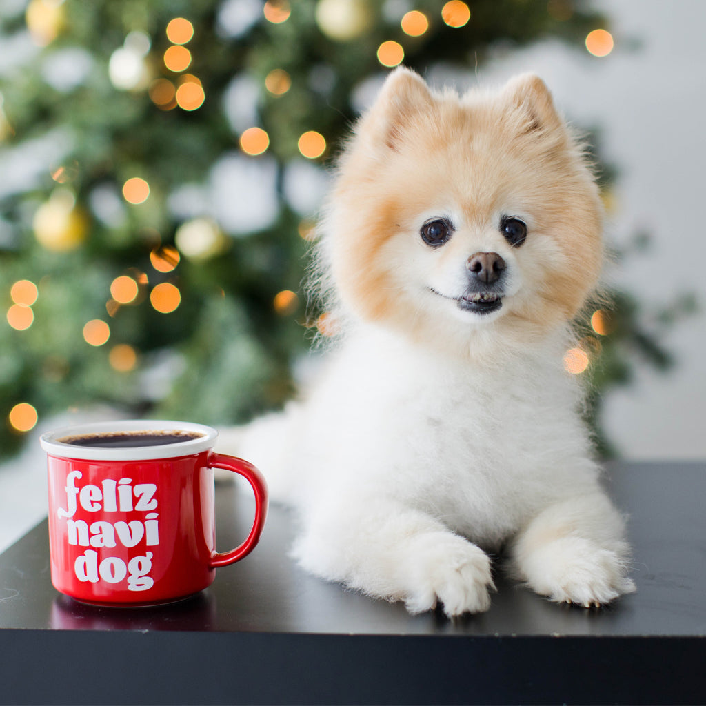 feliz navidog mug