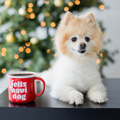feliz navidog mug