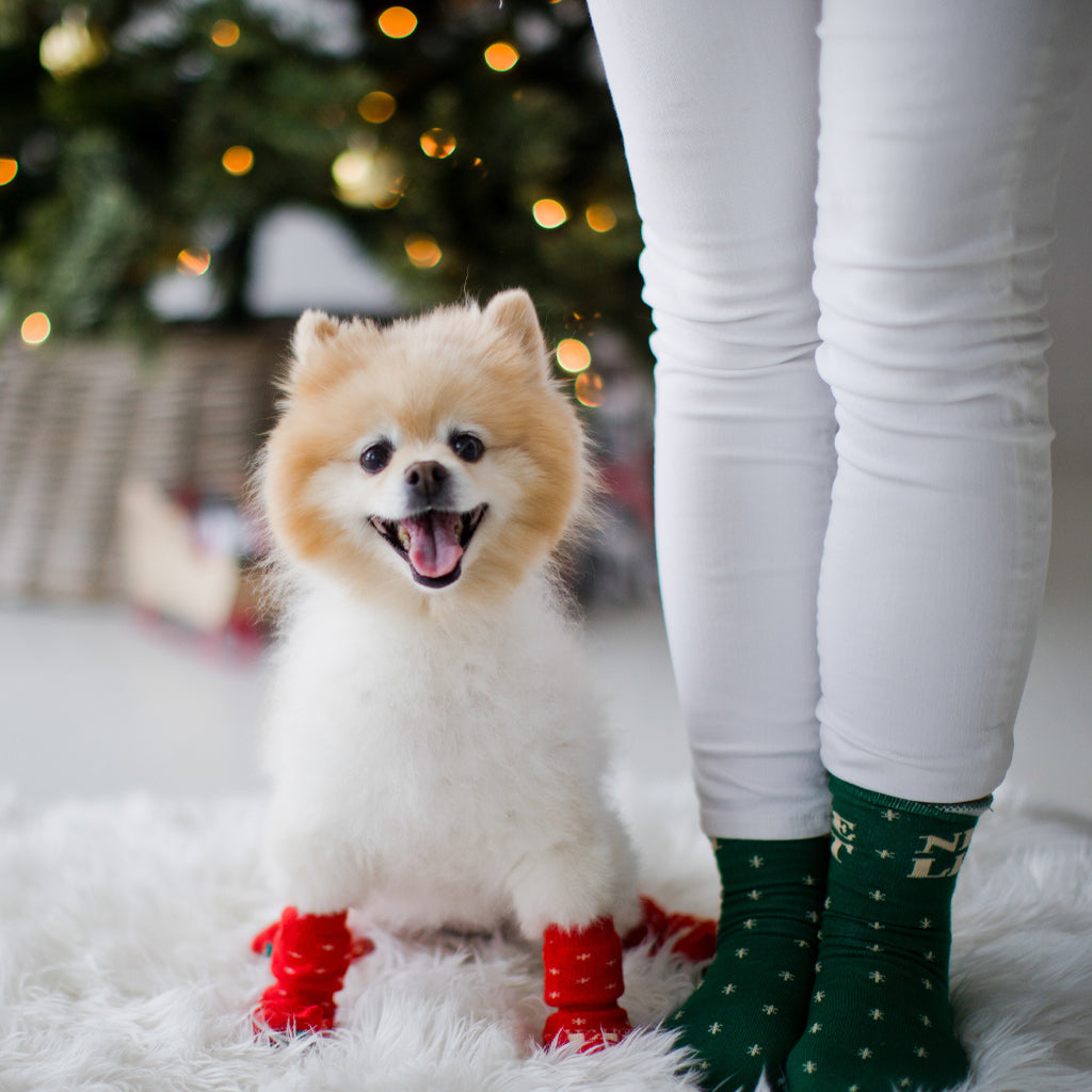 human and dog sock set
