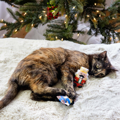 nutcracker cat toy set