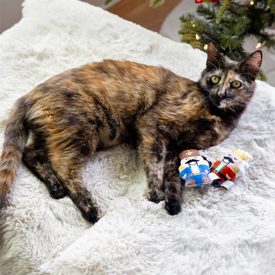 nutcracker cat toy set