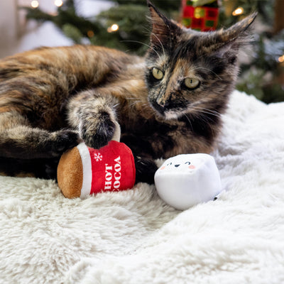 hot cocoa and marshmallows cat toy set