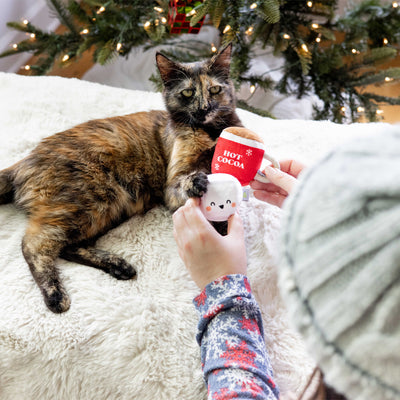 hot cocoa and marshmallows cat toy set