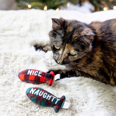 naughty or nice cat toy set