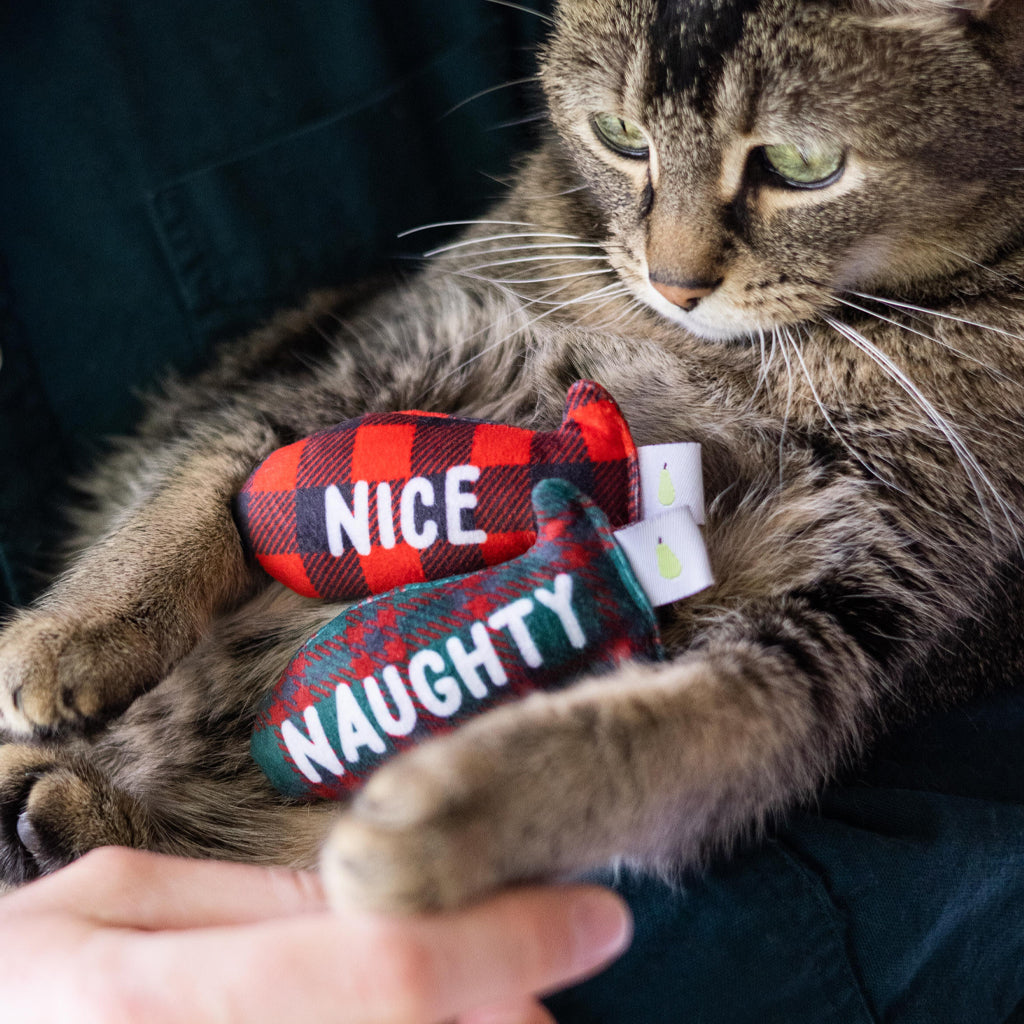 naughty or nice cat toy set