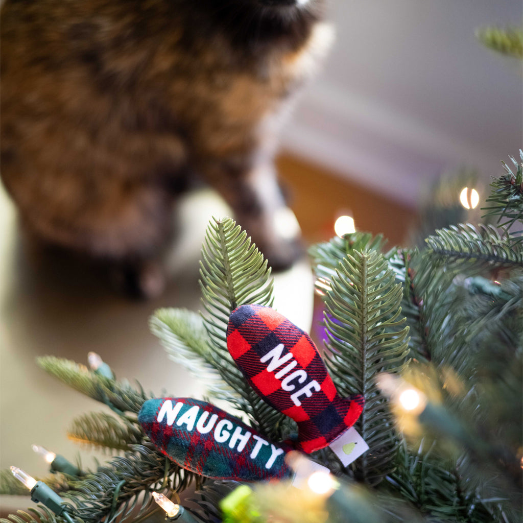naughty or nice cat toy set