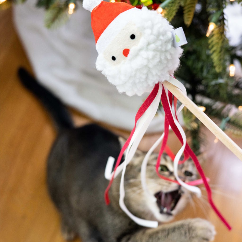 santa cat teaser