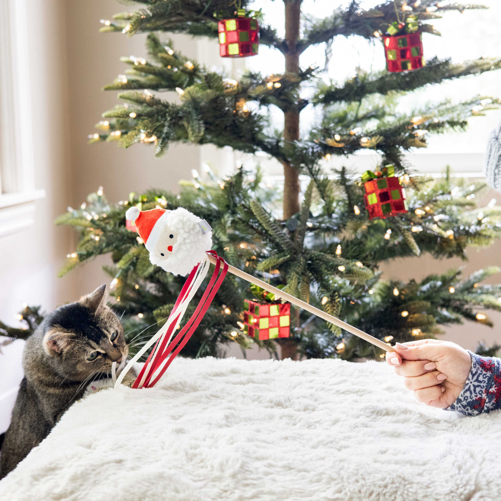 santa cat teaser