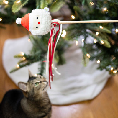 santa cat teaser