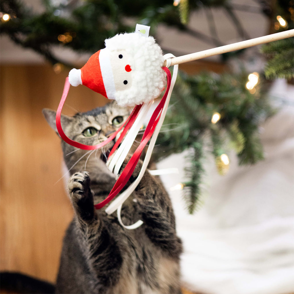 santa cat teaser
