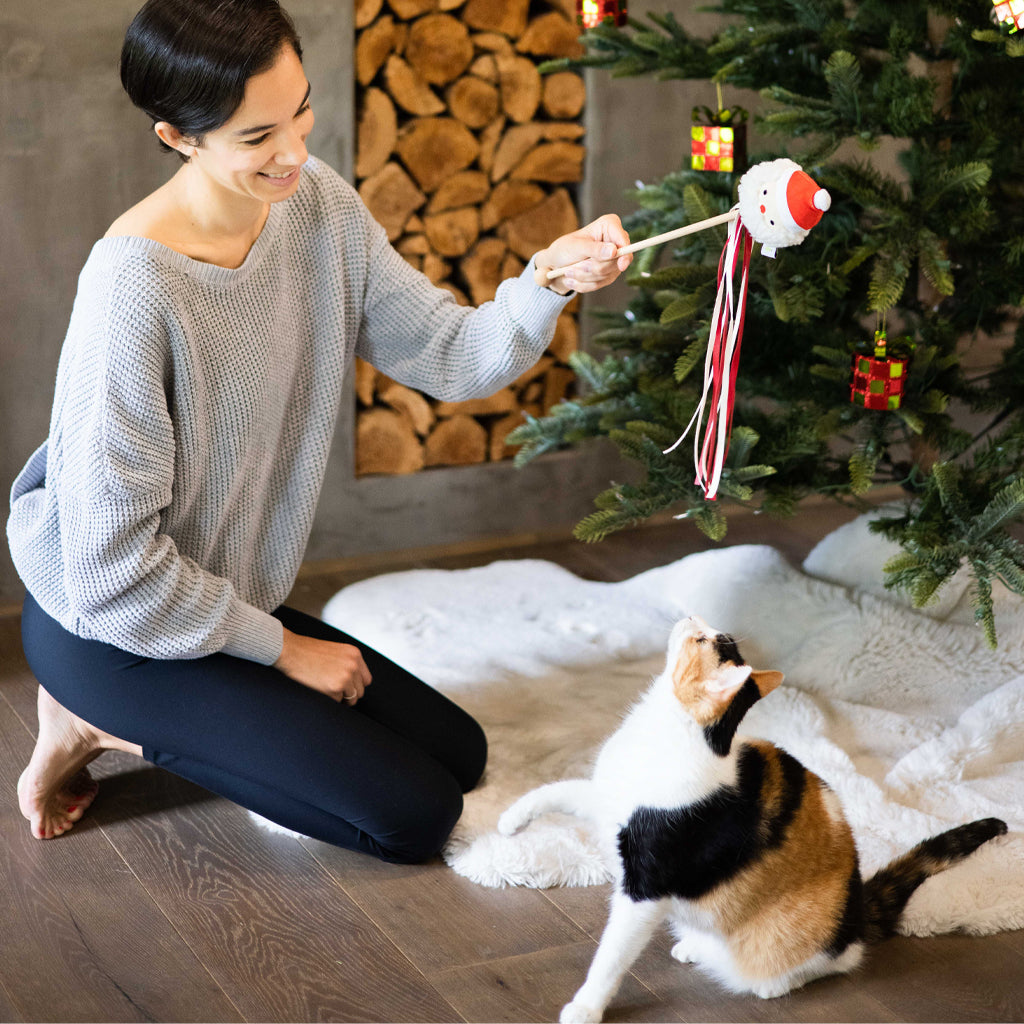 santa cat teaser