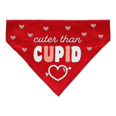 cupid pet bandana (s/m)