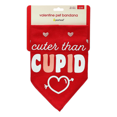cupid pet bandana (s/m)