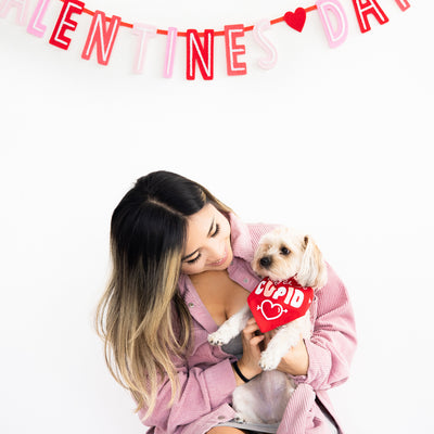 cupid pet bandana (s/m)