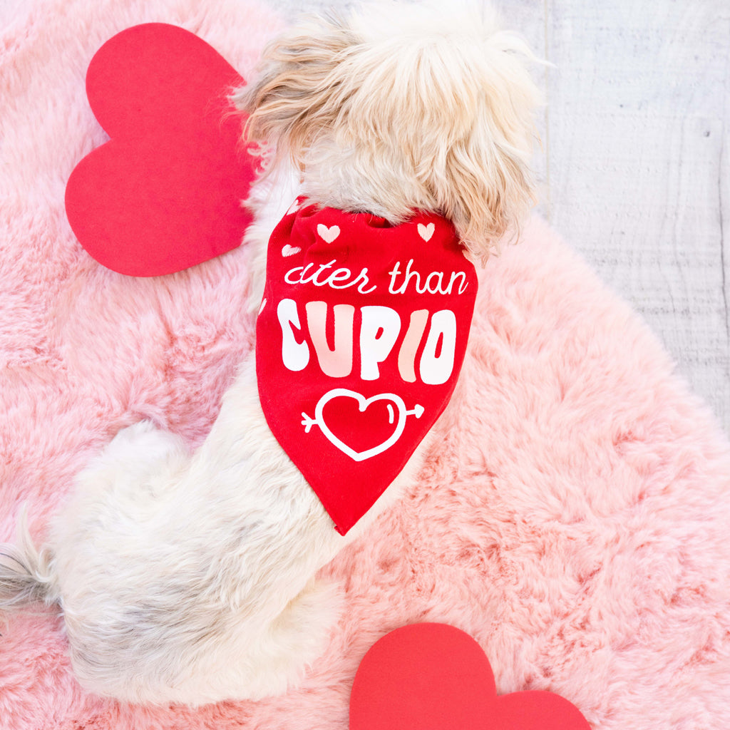 cupid pet bandana (s/m)