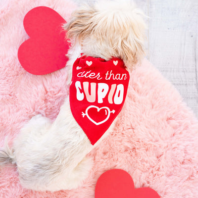 cupid pet bandana (s/m)
