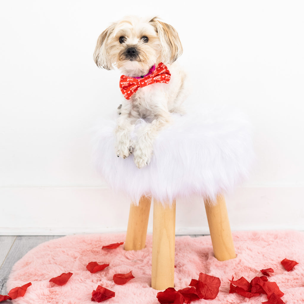 woof you pet bowtie (xs/s)