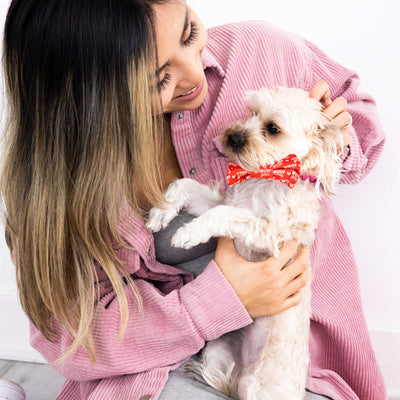 woof you pet bowtie (xs/s)