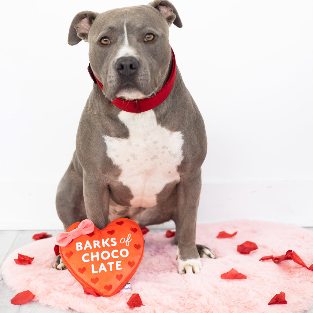 barks of chocolate dog toy